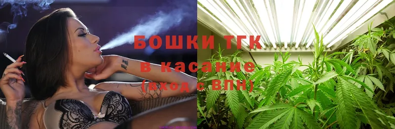 Бошки марихуана THC 21%  Белорецк 